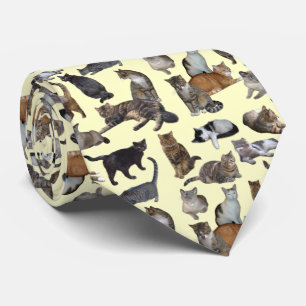 Katten Stropdas