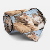 Katten Stropdas (Opgerold)