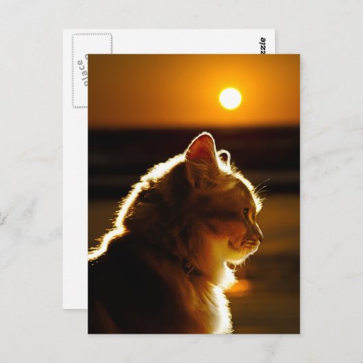 Katten Sunset Briefkaart (Voorkant / Achterkant)