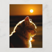 Katten Sunset Briefkaart (Voorkant)