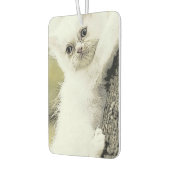 Katten, teder, kleine kat luchtverfrisser (Links)