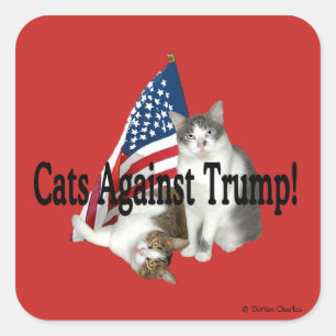 "Katten tegen Trump" stickers