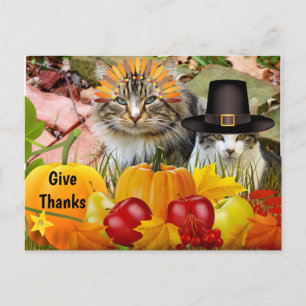Katten Thanksgiving Pompoenen / Van Kattencollage Briefkaart