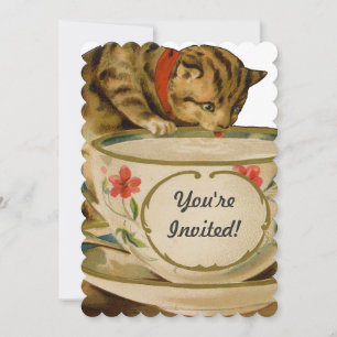 Katten Theekopje Schattig Vintage Victoriaans Huis Kaart