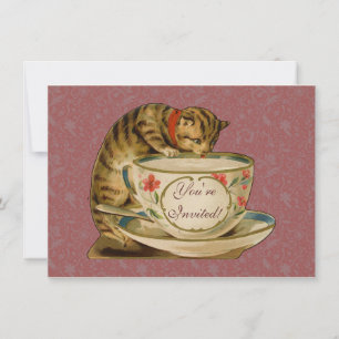 Katten Theekopje Schattig Vintage Victoriaans Huis Kaart
