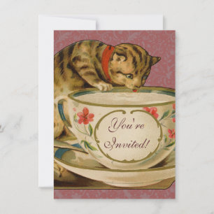 Katten Theekopje Schattig Vintage Victoriaans Huis Kaart