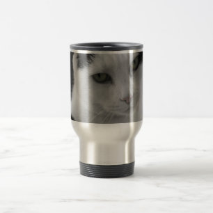 Katten Thoughts Reisbeker