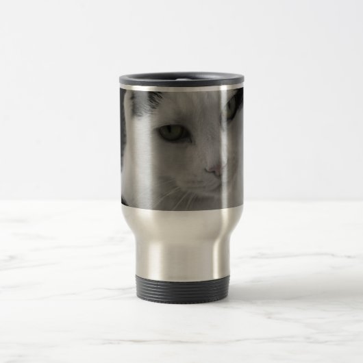 Katten Thoughts Reisbeker (Center)