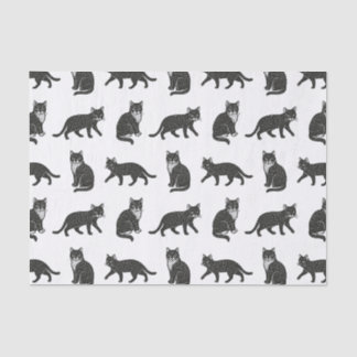 Katten Tissuepapier