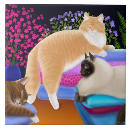 Katten uitlekken op de schone wasberg tegeltje (Voorkant)