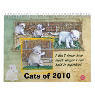 Katten van 2010 kalender
