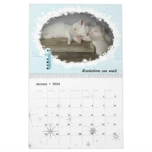 Katten van 2010 kalender (Jan 2026)