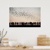 Katten van Austin - Austin, Texas Poster (Keuken)