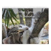 Katten van Cyprus volgens PaphosLife Calendar