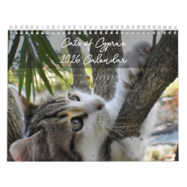 Katten van Cyprus volgens PaphosLife Calendar Kalender