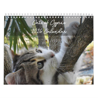 Katten van Cyprus volgens PaphosLife Calendar Kalender