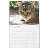 Katten van de ISTANBUL-kalender Kalender (Feb 2027)