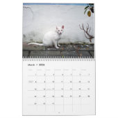 Katten van het oude San Juan, kalender 2016 (Mar 2026)