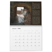 Katten van het oude San Juan, kalender 2016 (Jan 2026)