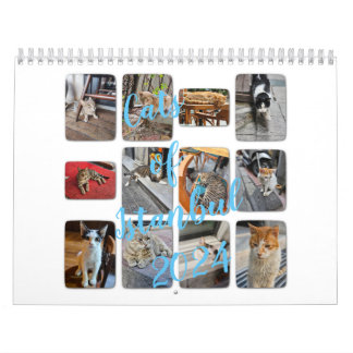 Katten van Istanbul Kalender