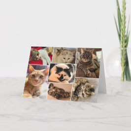 Katten van Johnston County Kaart