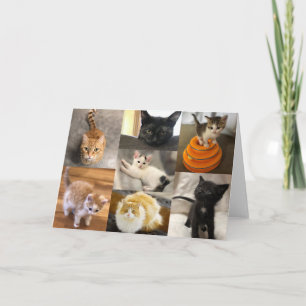 Katten van Twin Counties Kaart