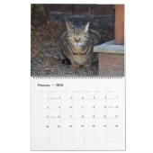 Katten van Vermont 2024 Kalender (Feb 2026)