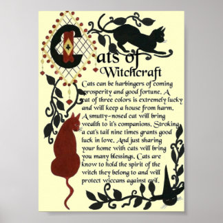 Katten van Witchcraft-Poster Poster