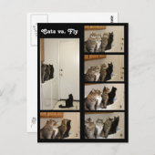 Katten versus Briefkaart (Voorkant / Achterkant)