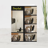 Katten versus Fly Stepdad-Vaderdag Kaart (Voorkant)