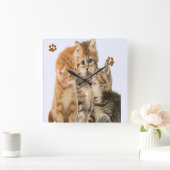 Katten Vierkante Klok (Huis)