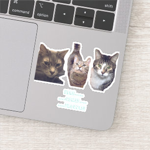 Katten vinylsticker met aangepaste snede sticker