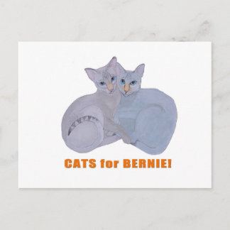 Katten voor Bernie! Briefkaart