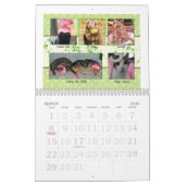 KATTEN VOOR EEN CURE CALENDAR 1 2014 KALENDER (Mar 2026)