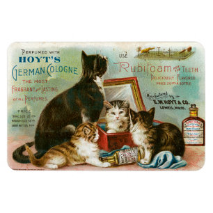 Katten voor Hoyt's Magneet