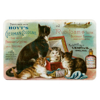 Katten voor Hoyt's Magneet