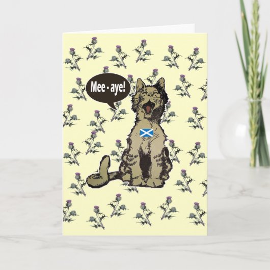 Katten voor Schotse Onafhankelijkheidsdag Kaart (Voorkant)