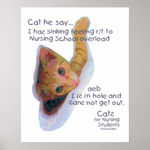 Katten voor verpleegkundigen - Ik heb een zinkend Poster