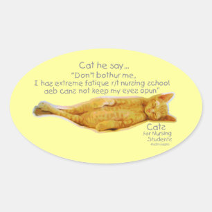 Katten voor verpleegkundigen studenten - Extreme v Ovale Sticker