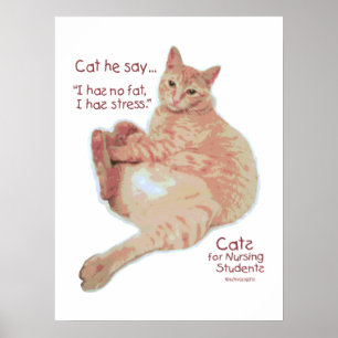 Katten voor verpleegstudenten - Ik heb stress Poster