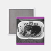 Katten wasmand magneet (Voorkant / Achterkant)