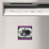 Katten wasmand magneet (Insitu (Vaatwasser))