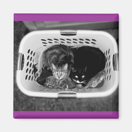 Katten wasmand magneet (Voorkant)