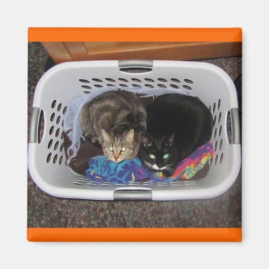 Katten wasmand magneet (Voorkant)