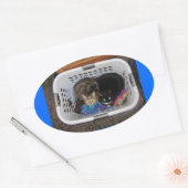 Katten wasmand ovale sticker (Envelop)