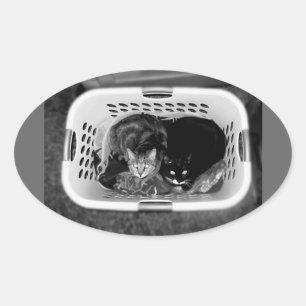 Katten wasmand ovale sticker