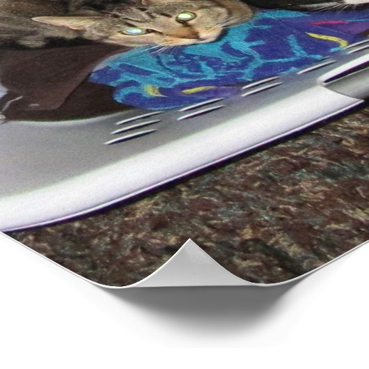 Katten wasmand poster (Hoek)