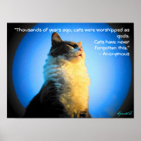 Katten Worshishied als goden - met anonieme prijso