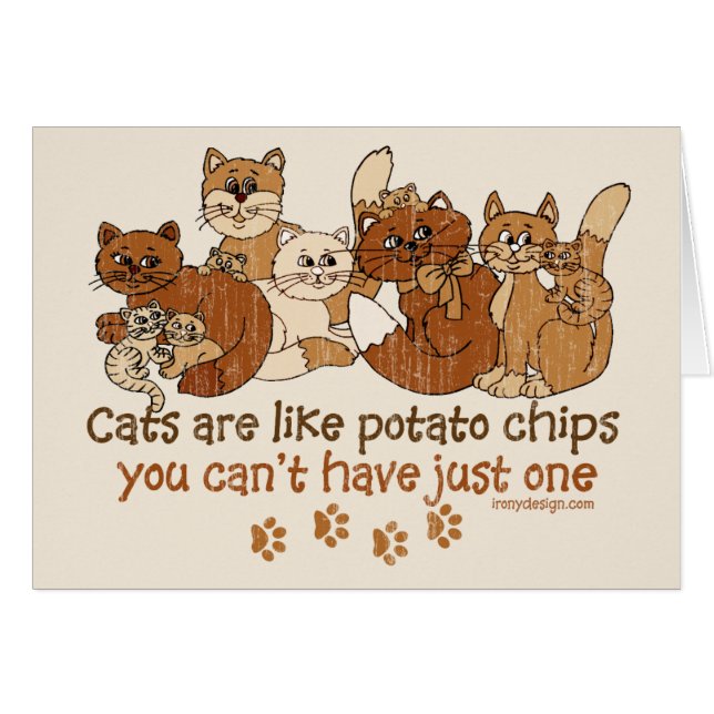 Katten zijn als chips (Voorkant Horizontaal)