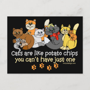 Katten zijn als chips briefkaart